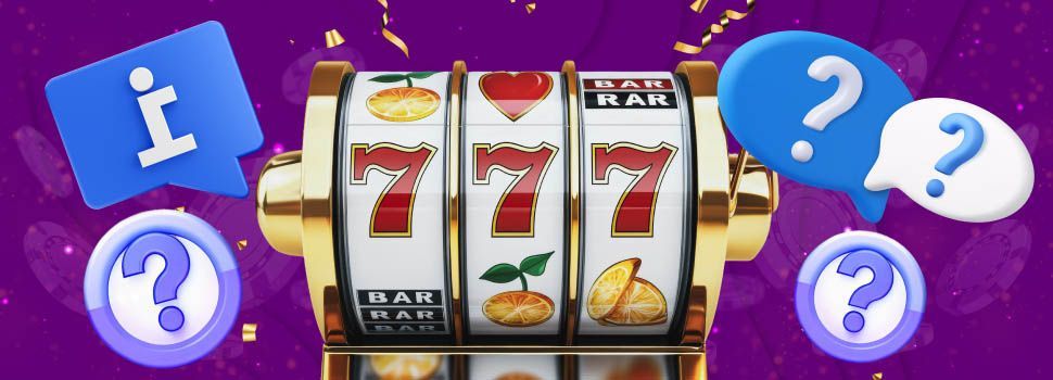 Hogyan választja ki