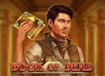 Rich Wilde and the Book of Dead