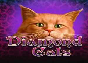Általános információk a Diamond Cats slotról