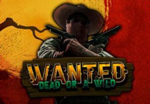 Általános információk a Wanted Dead or a Wild slotról